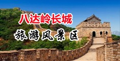 骚B狂夹大鸡巴高清动作视频中国北京-八达岭长城旅游风景区