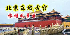 淫女兽交小说中国北京-东城古宫旅游风景区